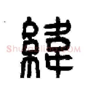 緯