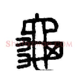 龜