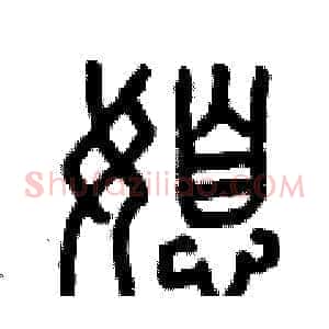 媳