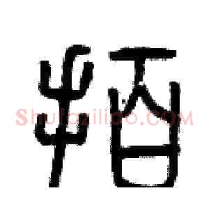 拍