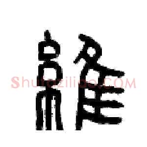維