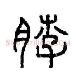 脖