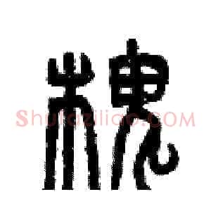 槐