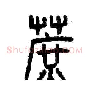 蔗