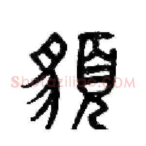 貌