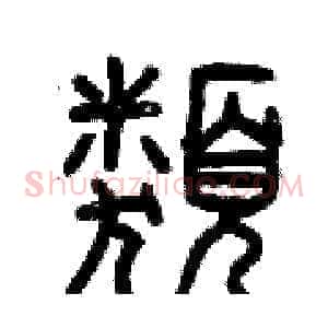類