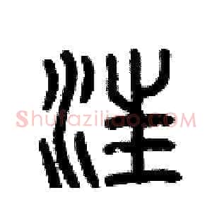 汪