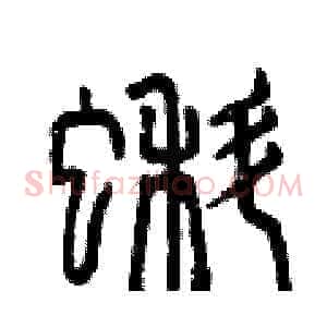 蝌