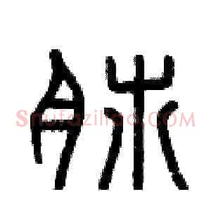 肺