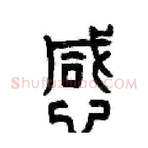 憾