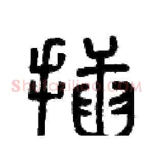 插