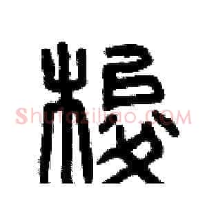 梭