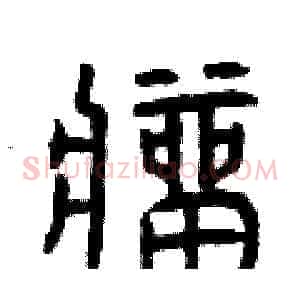 瘤