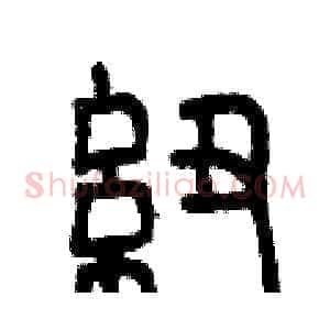 紐