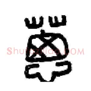 蔥