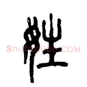 姓