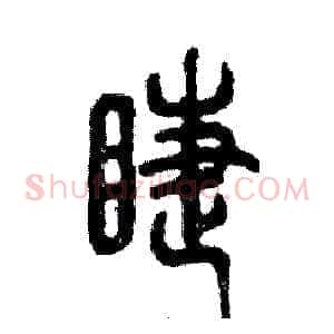 睫