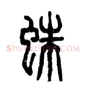 蛛