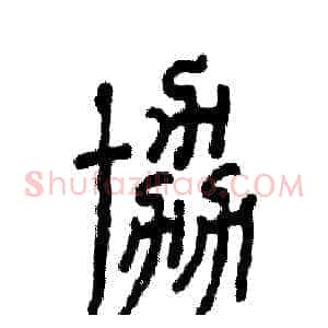 协