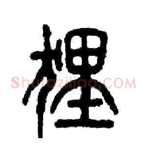 狸