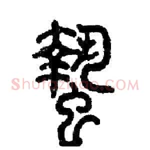 蛰