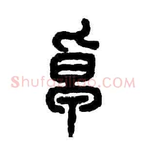 卓