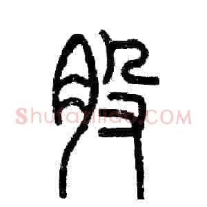 股