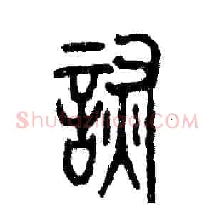 诙