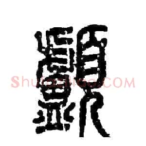 颅