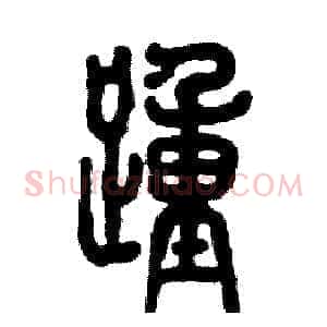 踵
