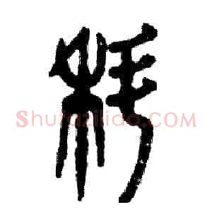 蝌