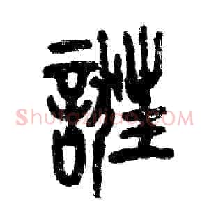 诳