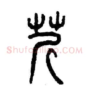 芹
