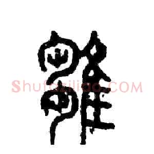 雏