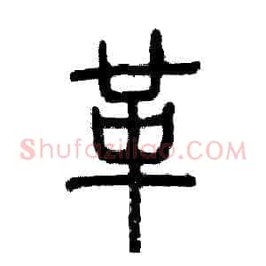 革