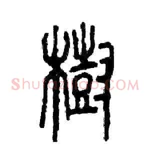 樹