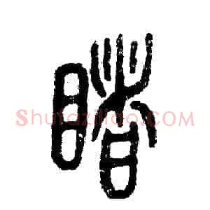 睹
