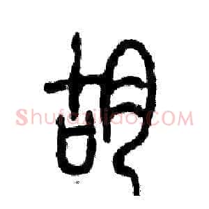 蝴