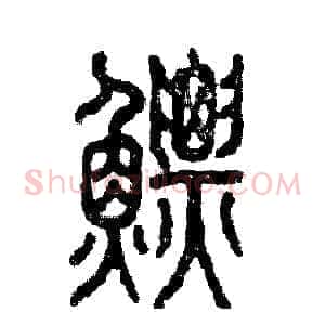 鳔