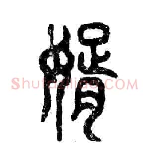 婿