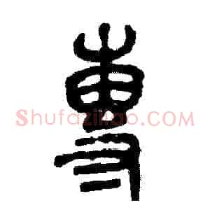 專