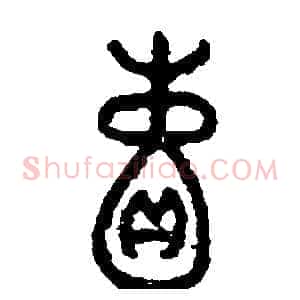 囊