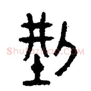 型