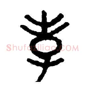 孝