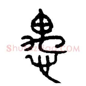 愚