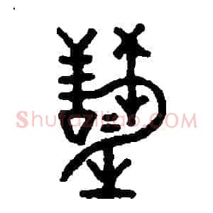 慧