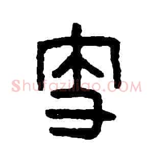 支