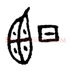 曬