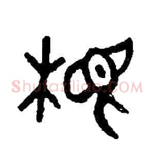 根