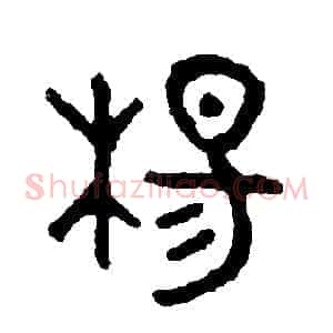 楊